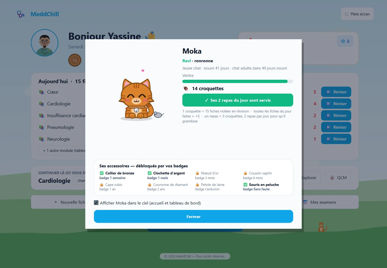 Mon chat : Moka, chaton roux ravi, croquettes, repas du jour et accessoires débloqués par les badges